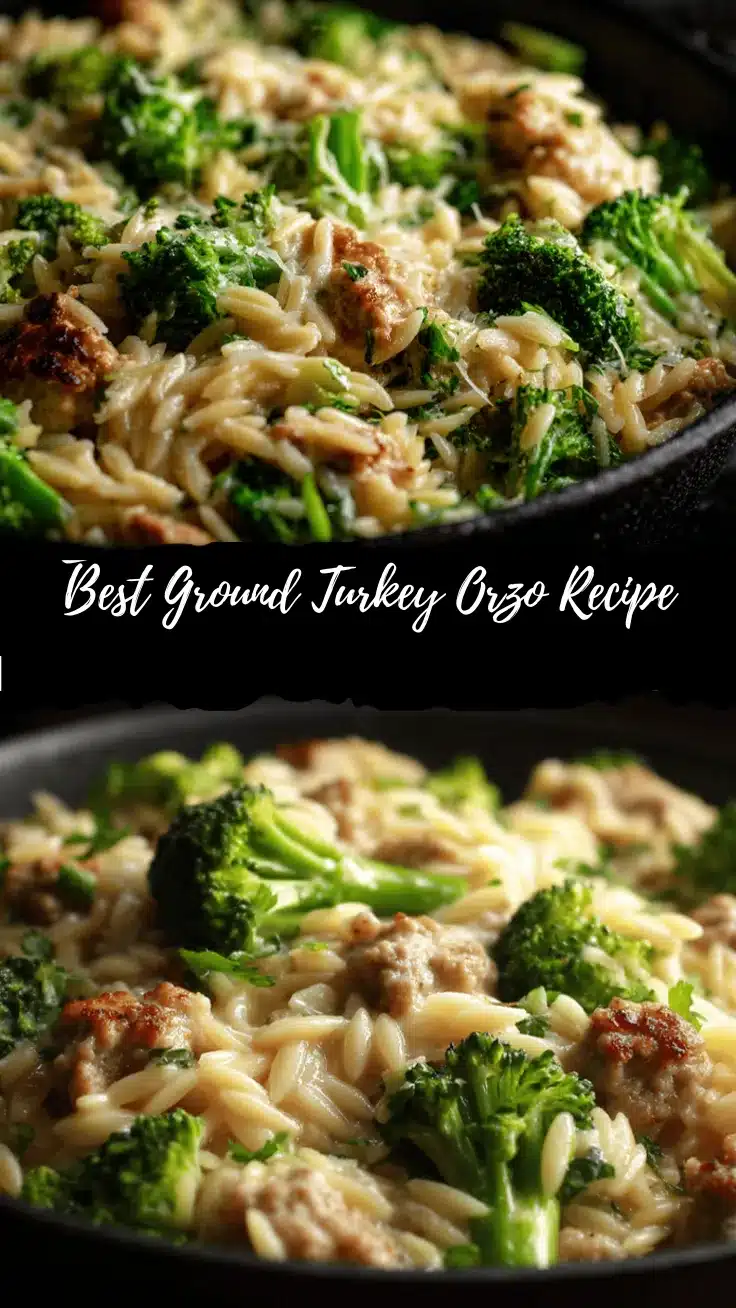 ground turkey orzo recipe
